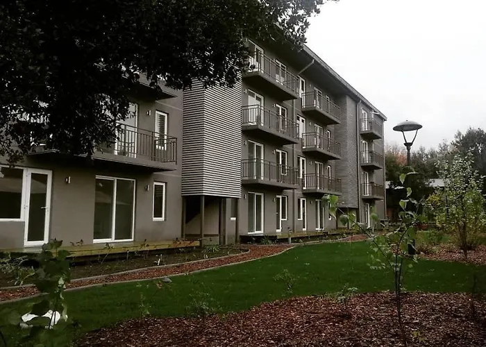 Departamento En Pucon